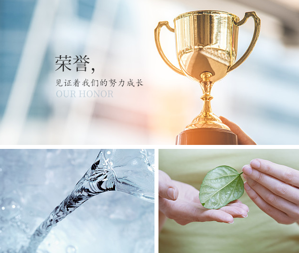 企业荣誉