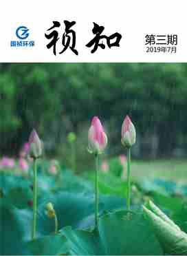祯知03期